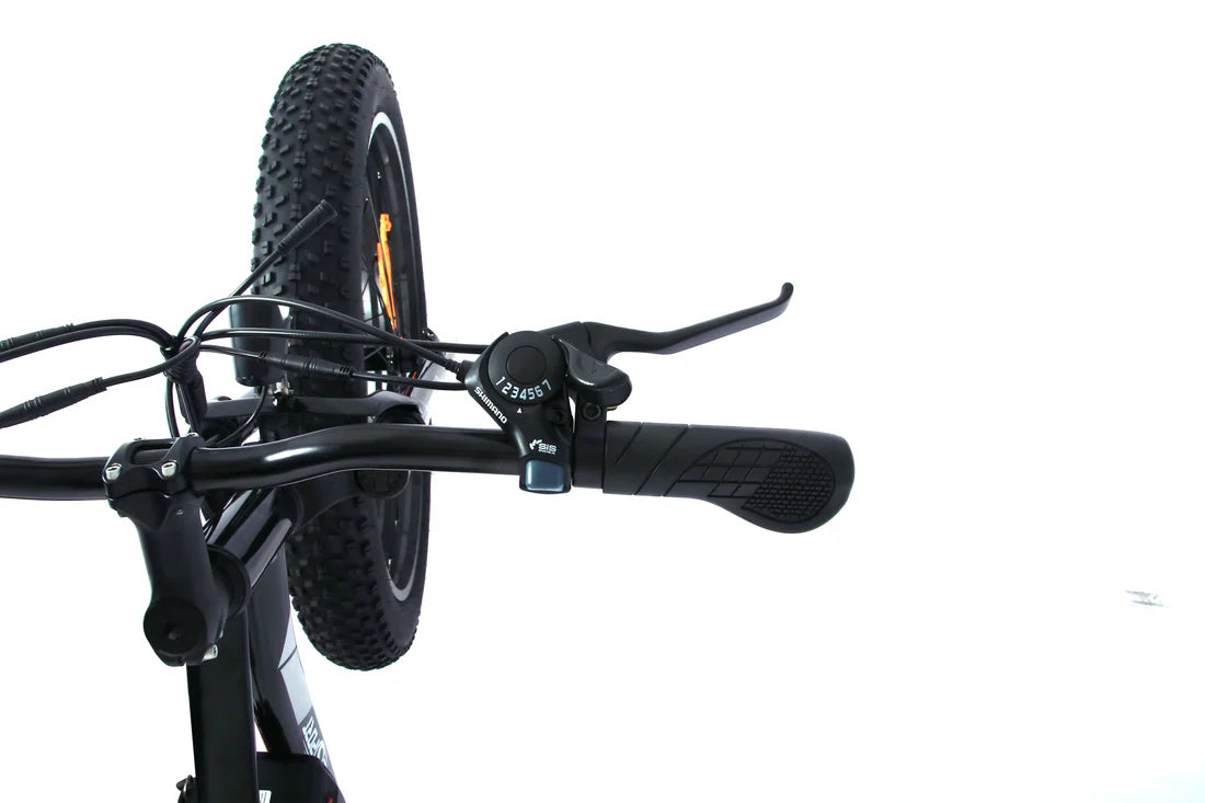 ONESPORT OT15 – Leichtes E-Bike mit herausnehmbarem Akku und sportlicher Optik